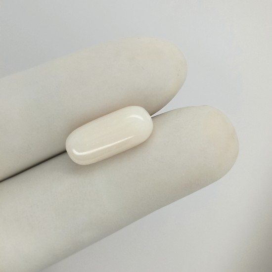 White Coral (Safed Moonga)  7.76 Ct Gem Quality